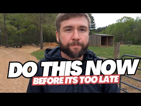 7 Major Things You NEED To Do NOW! | Great DEPRESSION AND Economic Crisis | Preparedness