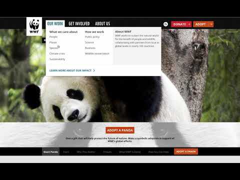 Item video thumbnail