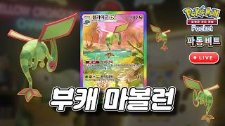 26.05.26 파동비트 랭크배틀!! / 플라이곤으로 마볼 달성!!!