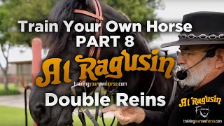 Two Unique Geldings — Training From Scratch With the Collection Reins