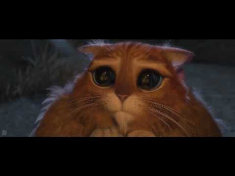Толстый кот из шрека