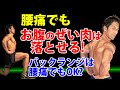 腰痛でも体脂肪、お腹のぜい肉は落とせる!バックランジは腰痛にOKなのか?