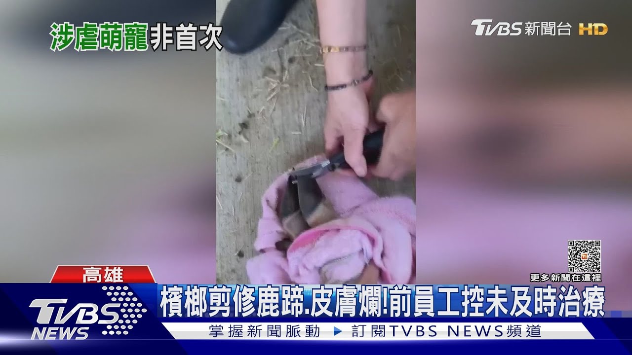 前年才被罰!農場前員工控「動物福祉不佳」 動保處:無虐待