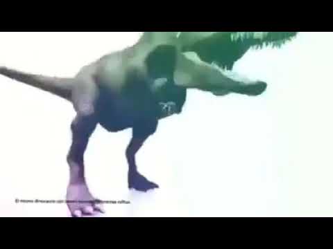 Tylko jedno w głowie mam