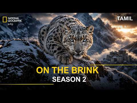 On The Brink
