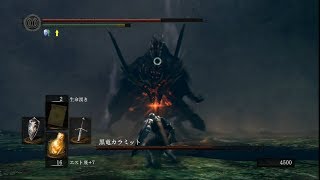 【ダークソウル】カンスト世界に行ってみよう ウーラシール編 VSカラミット【実況】