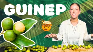 GUINEP! A Deep Dive Into Mamoncillo / Spanish Lime | Exotic Fruits