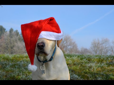 NOWE KANAŁY I CZAPKA NIEWIDKA