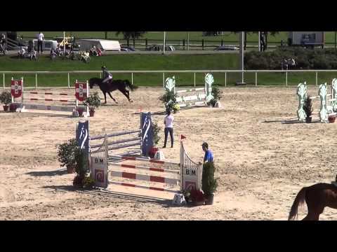 Aarhof's Caliano SM-CH-Pferde Avenches 2014