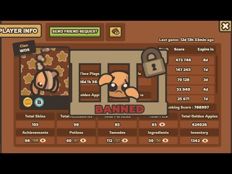 Chicago's Retired Owner - Taming.io