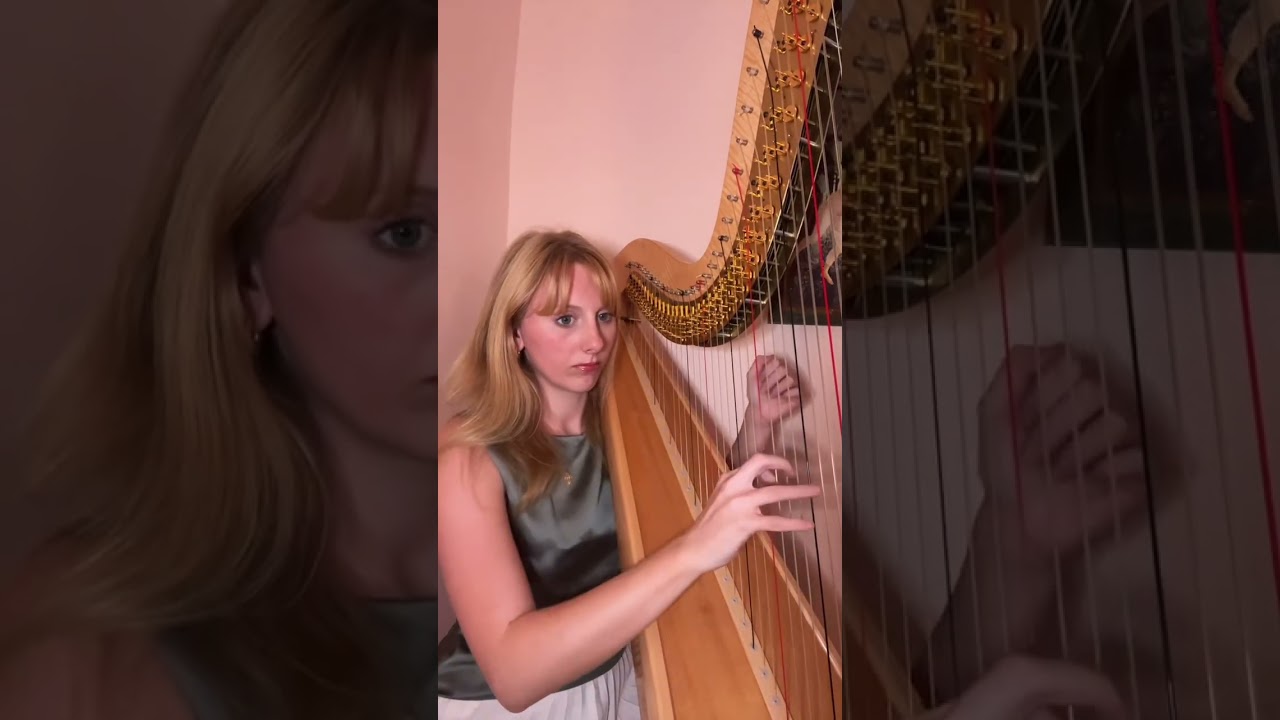 Promotional video thumbnail 2 for Chicago Harpist Anya Pasowicz