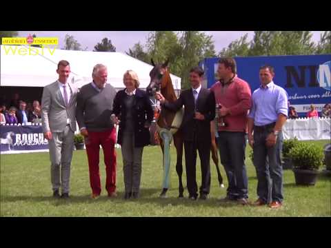 Bruges Arabian Horse Event 2013 - International Show
