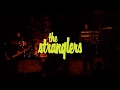 The Stranglers: Baroque Bordello & Bring on the Nubiles - live 2019