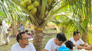 Download lagu FRESH WITHOUT CLIMBING ‼️. NATURE TOURISM IN WOLO PENAWANGAN PURWODADI GROBOGAN #penawangan #coconut mp3 Download lagu FRESH WITHOUT CLIMBING ‼️. NATURE TOURISM IN WOLO PENAWANGAN PURWODADI GROBOGAN #penawangan #coconut mp3