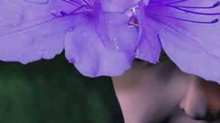 The Residents - End Of Home