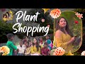 Plant Shopping for My Cozy Home Garden! | Plant Nursery Tour | Kannada Vlogs | Hariprriya Simha