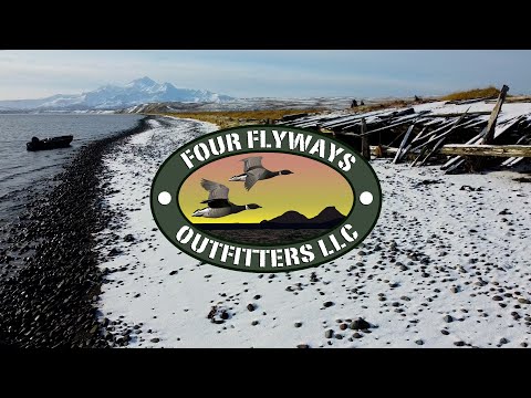 Four Flyways Outfitters | Cold Bay Alaska Waterfowl Guide | Experience Your Hunt of a Lifetime