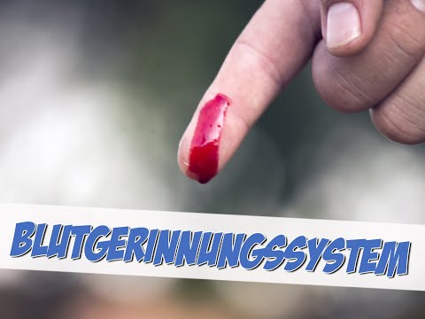 Das Blutgerinnungssystem