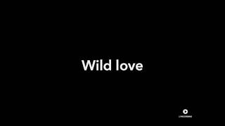 James Bay - Wild Love (Acoustic) (Lyrics)
