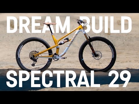 Canyon Dream Bike Build | Spectral 29 Luca Cometti
