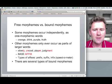 Words and morphemes