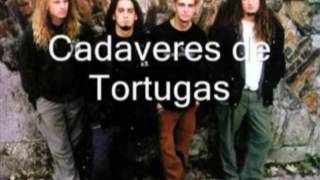 Cadaveres de Tortugas - Hate