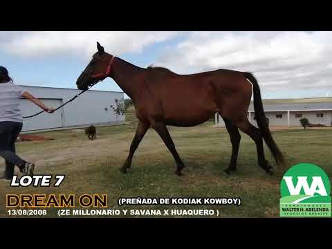 Lote DREAM ON