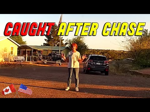 BEST OF PEOPLE GETTING CHASED  | Hit and Run Compilation | Accidents, Road Rage, Brake Checks 2022