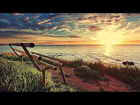 The Sun of Chillness - Chill Music Video