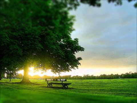 HiGh-D - Du bist... (ReUp)