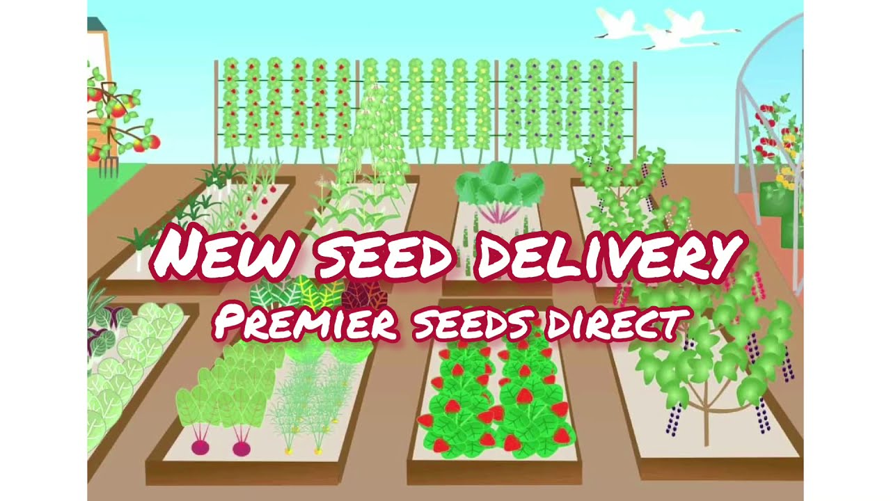 Premier Seeds Direct REVIEW