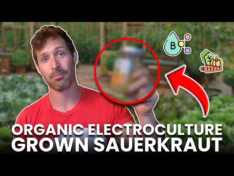 This Food Had Me Taking Huge Dumps! 💩