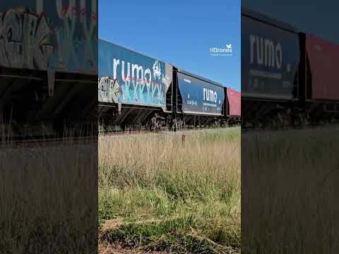 TREM GRANELEIRO SUBINDO A RAMPA DE PETROLINA EM DIREÇÃO AO ENTRONCAMENTO DE OURO VERDE DE GOIÁS