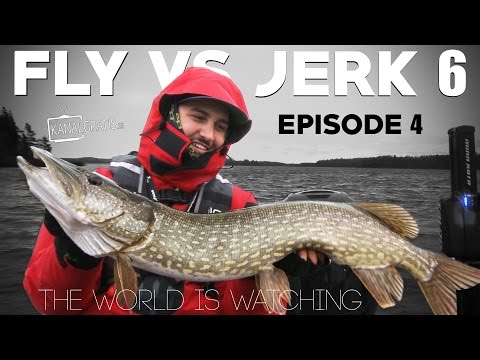 Fly vs Jerk 6 - EPISODE 4 - The World is Watching