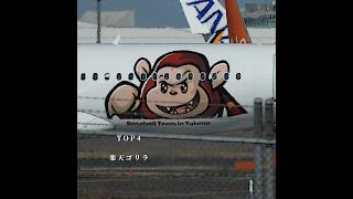成田で撮れたレア機・特別塗装機 #shorts