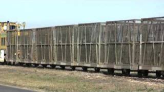 preview picture of video 'Empty Cane Train at Ayr.'