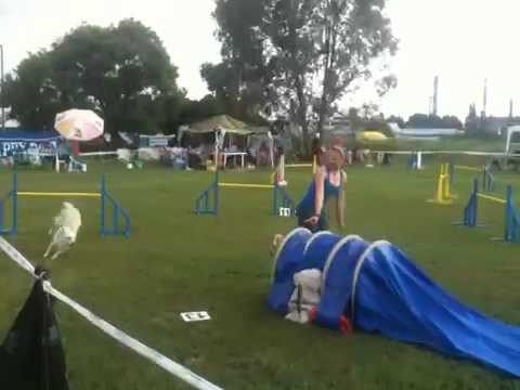 Saru open jumping on Happy Dog cup