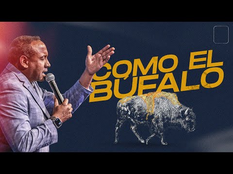 Como El Búfalo l Pastor Juan Carlos Harrigan