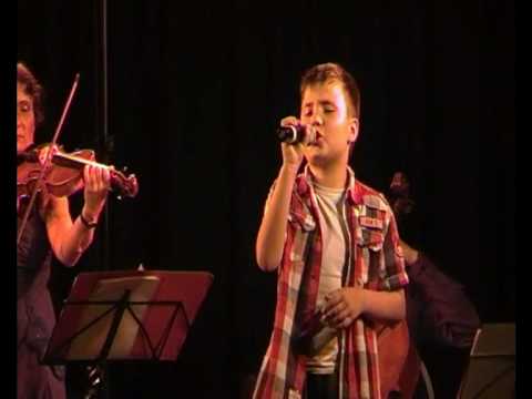 Leonard Cohen Hallelujah Cover by Richard Istel