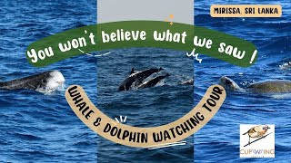 Unbelievable Whale & Dolphin watching Tour Mirissa. Exploring the Southern Coast of Sri Lanka
