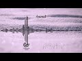 AURORA - Animal | Instrumental cover AURORA - Animal | Instrumental cover