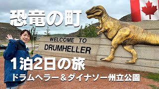 【保存版】ドラムヘラー＆ダイナソー州立公園🇨🇦カナダ最大の恐竜エリアを1泊2日で徹底紹介！