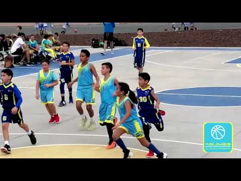 Premini: CB Agüimes vs CB Las Palmas La Salle Temporada 2019/20