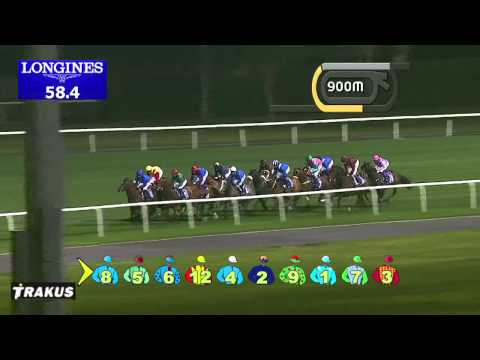 30.01.2014 Meydan (Dubai-UAE) 5.Race Al Rashidiya Sponsored By DUBAL 2014 - Group II 1.800 m