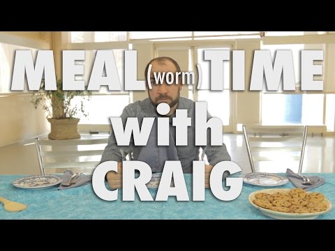 How to Cook Mealworms! | Extra Stuff