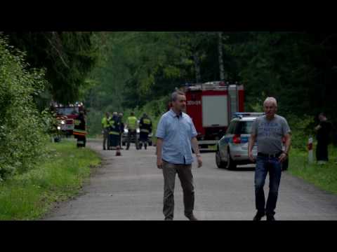 Wypadek z łosiem. Jałówka - Michałowo