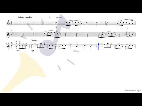 Leo Portnoff - Violin Concertino Op.13 - II. Andante cantabile