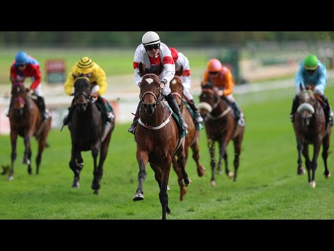 Köln: Sauren Dachfonds Preis (ex Gerling-Preis) 2025 Sieger: Alleno