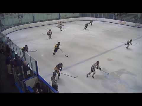 ALEX LEE 2019-2020 HIGHLIGHTS