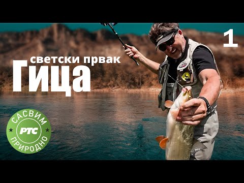 Sasvim prirodno: Svetski prvak Gica, 1. deo (Jovan Memedović)